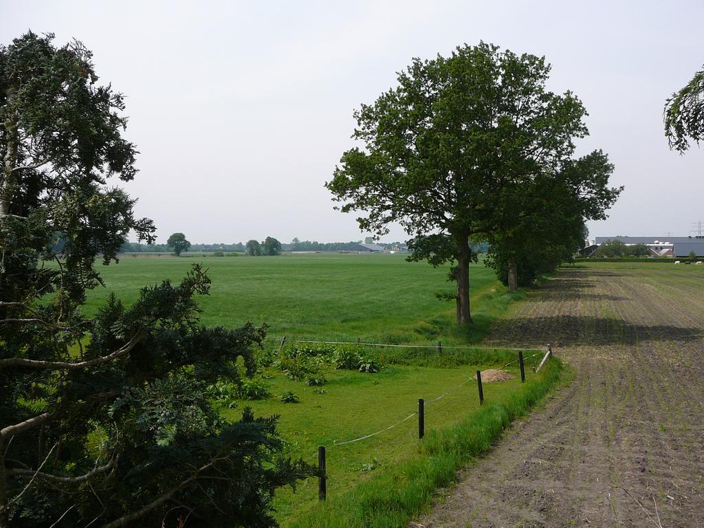 Vila Zonneraai Nieuweroord Exteriér fotografie